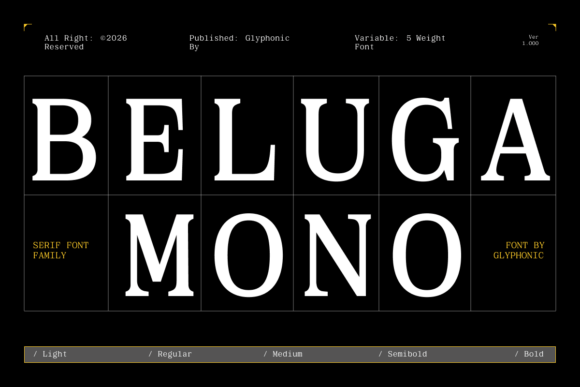 Beluga Mono: A Contemporary Serif Font for Polished Branding