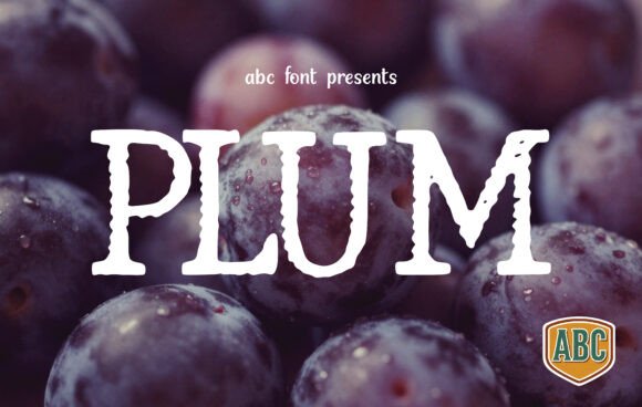 Discover the Artisanal Charm of Plum Font