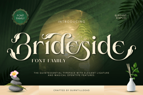 Elevate Your Campaigns with Brideside: A Graceful Serif Font
